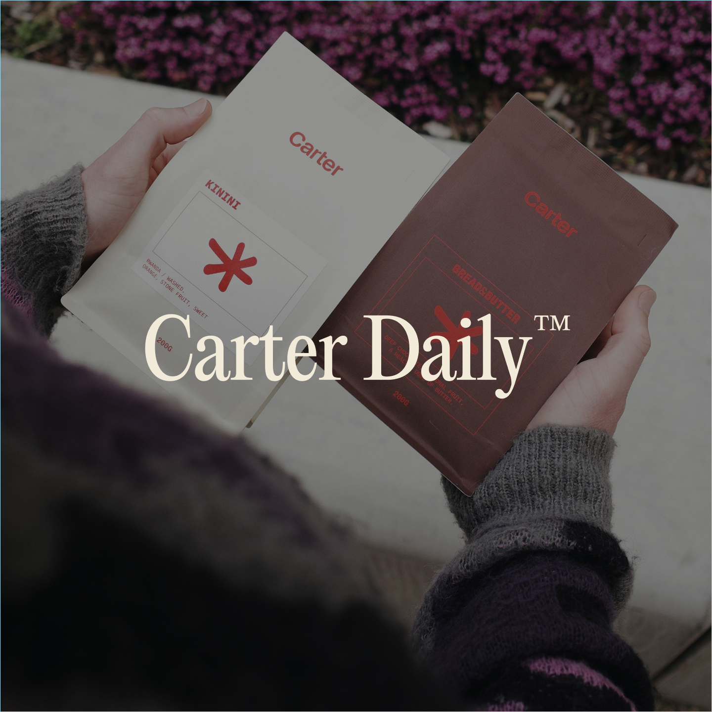 Carter Daily