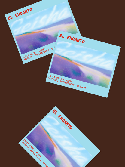 El Encanto - Geisha (Costa Rica, Honey)
