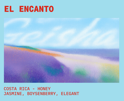El Encanto - Geisha (Costa Rica, Honey)